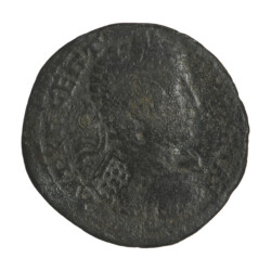 Augusta Traiana 1323