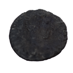 Nikopolis ad Istrum 1647