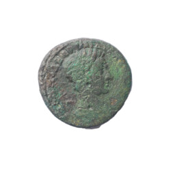 Nikopolis ad Istrum 1259