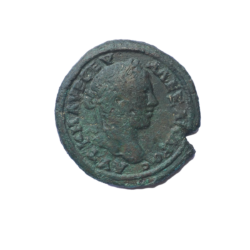 Nikopolis ad Istrum 3083