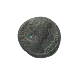 Nikopolis ad Istrum 3289