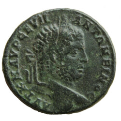 Augusta Traiana 50063