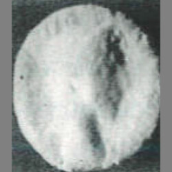 Augusta Traiana 14232