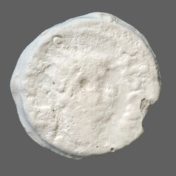 Augusta Traiana 14164