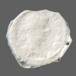 Augustra Traiana 14148