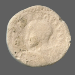 Anchialus 26803