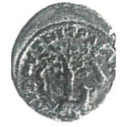Augusta Traiana 14211