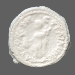 Augusta Traiana 14149