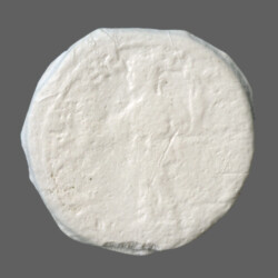 Augusta Traiana 14110