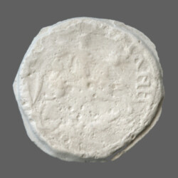 Augusta Traiana 14115