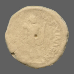 Anchialus 21323