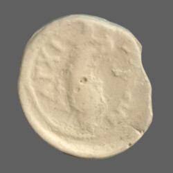 Anchialus 21327