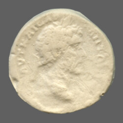 Anchialus 2800