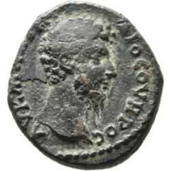 Augusta Traiana 30364