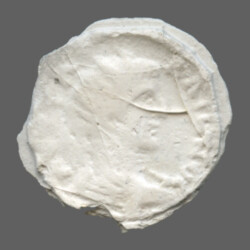 Augusta Traiana 14156