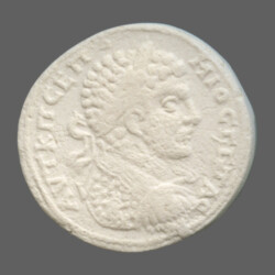 Augusta Traiana 14127