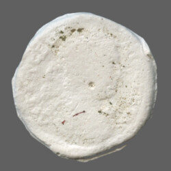 Augusta Traiana 14110