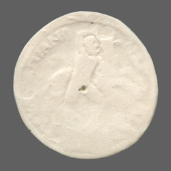 Anchialus 2637