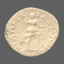 Anchialus 2788