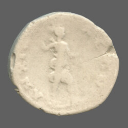 Anchialus 2795