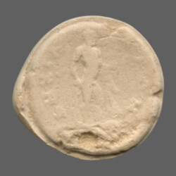 Anchialus 2834