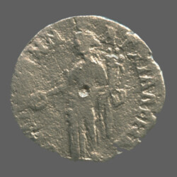 Anchialus 4075