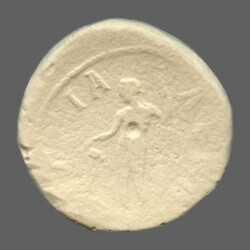 Anchialus 4099