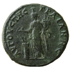 Augusta Traiana 50063