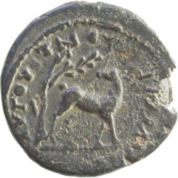 Augusta Traiana 48814