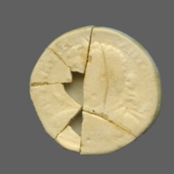 Augusta Traiana 9809