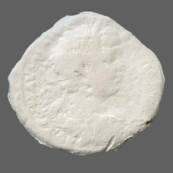 Augusta Traiana 9613