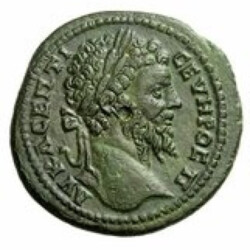 Augusta Traiana 9596