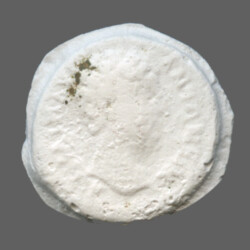 Augusta Traiana 9337