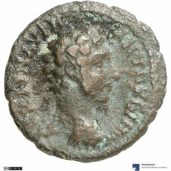 Augusta Traiana 3706