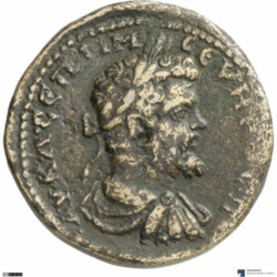 Augusta Traiana 3716