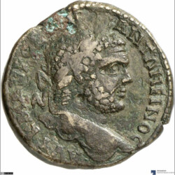 Augusta Traiana 3728