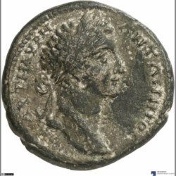 Augusta Traiana 3732