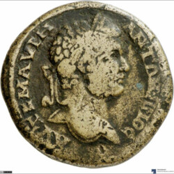 Augusta Traiana 3736