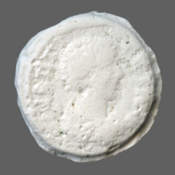 Augusta Traiana 9973