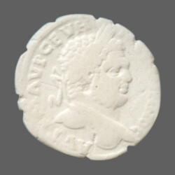 Augusta Traiana 9882