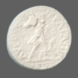 Augusta Traiana 9958