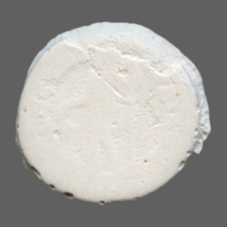 Augusta Traiana 9911