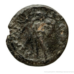 Augusta Traiana 11344