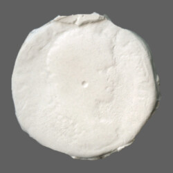 Augusta Traiana 9753