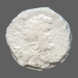 Augusta Traiana 9554