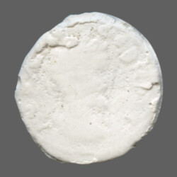 Augusta Traiana 9564