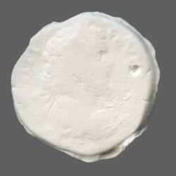 Augusta Traiana 9466