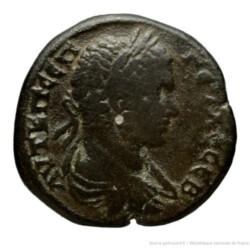 Augusta Traiana 10817