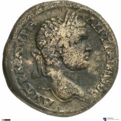 Augusta Traiana 3731