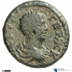 Augusta Traiana 3773